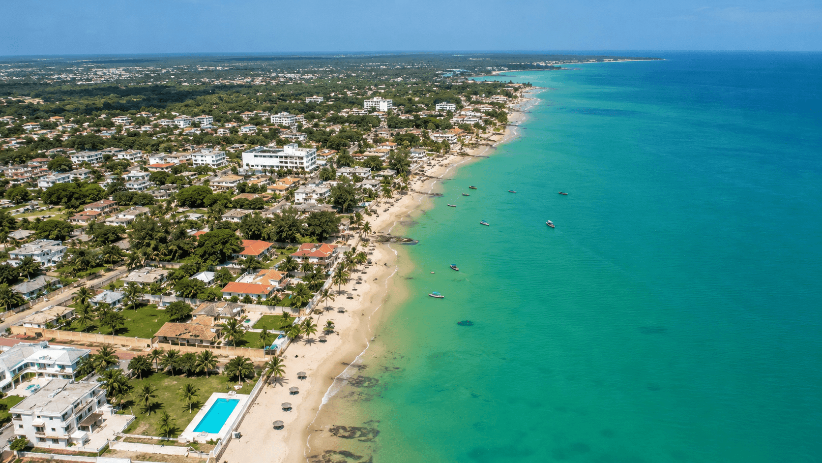 Saly
